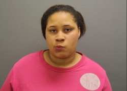 Two Chicago dogs found dead, suspected dog fighting casualties